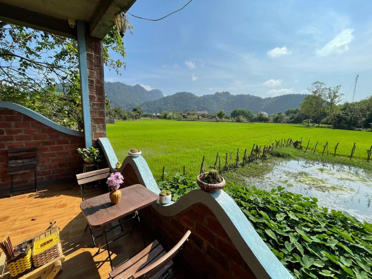 An An Homestay Bungalow Phong Nha Exteriör bild