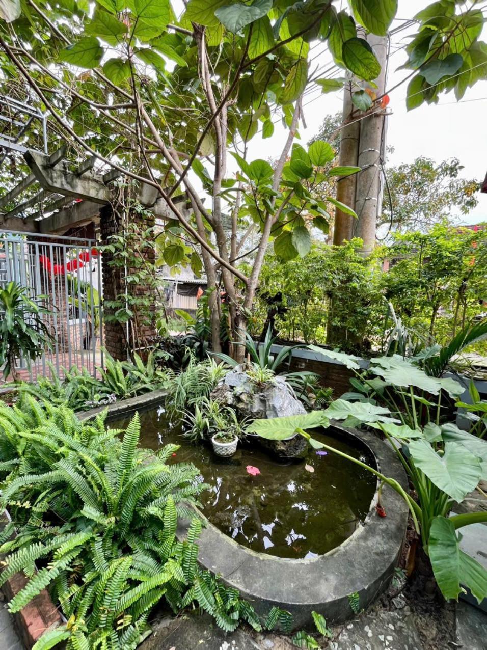An An Homestay Bungalow Phong Nha Exteriör bild